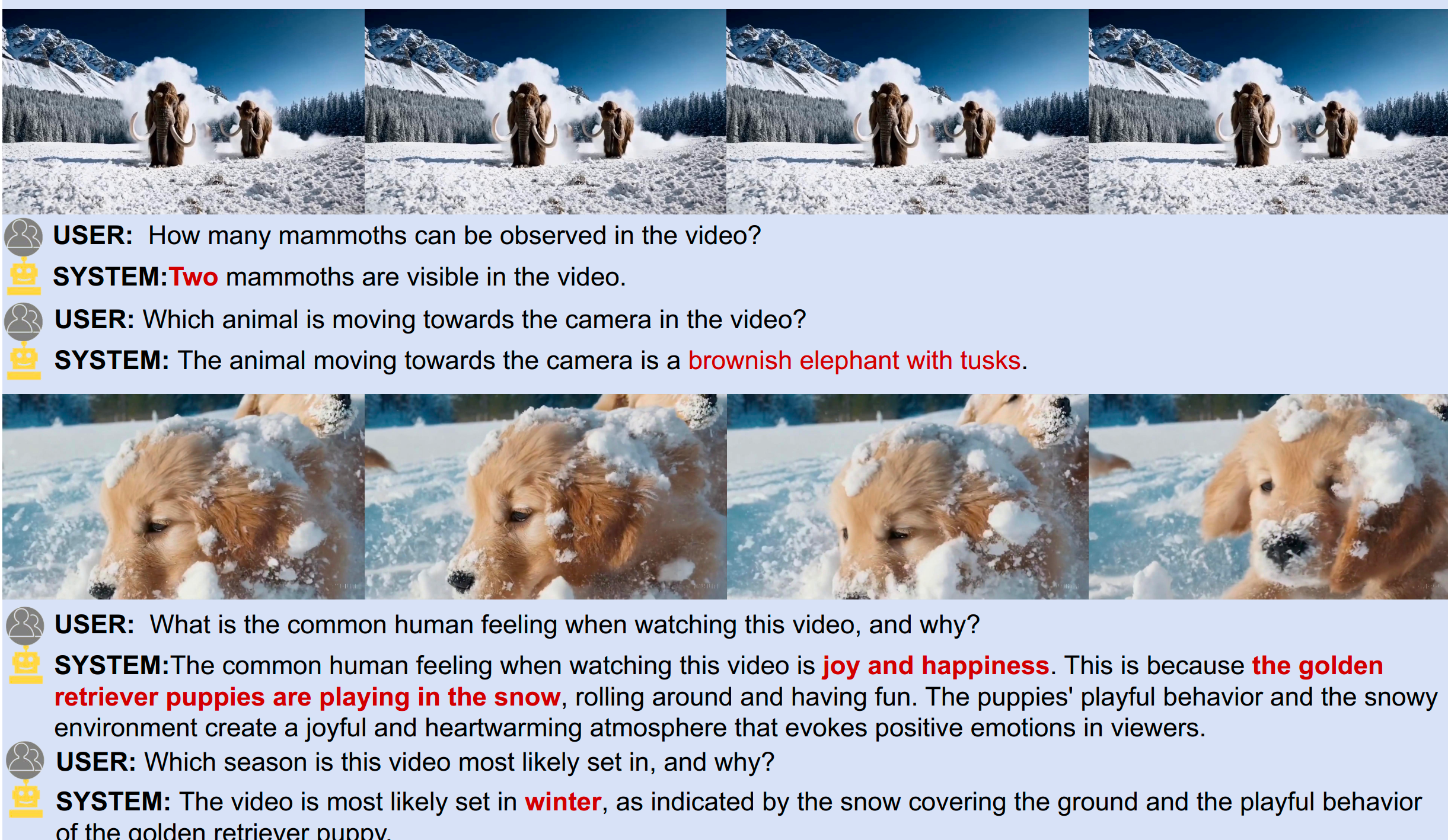 Video Understanding Results
